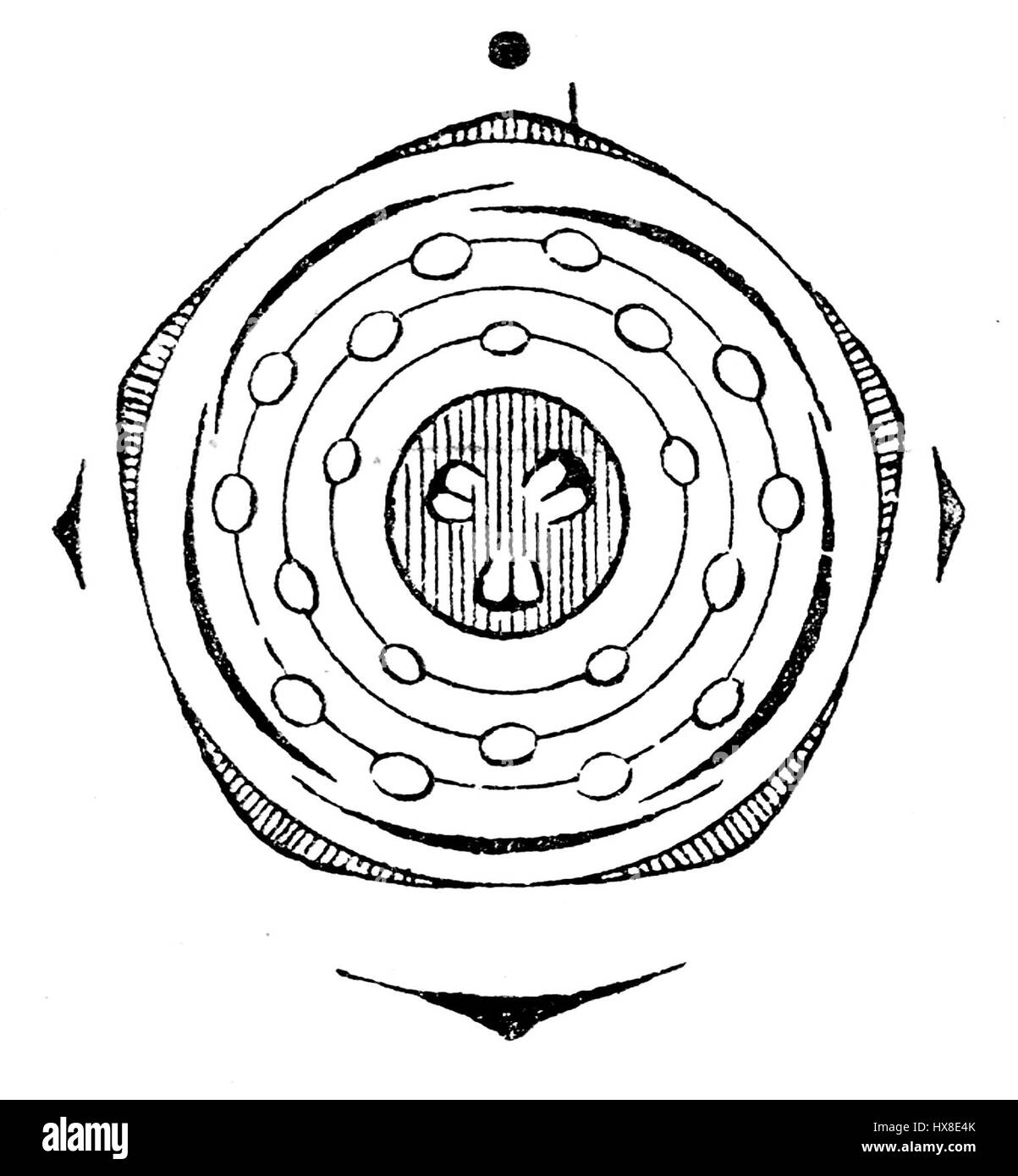 Le diagramme illustre la fleur de *Sorbus domestica*, une espèce d'arbre connue pour ses petites fleurs blanches et ses fruits comestibles. Il est couramment trouvé en Europe et est apprécié pour ses propriétés médicinales et comme source alimentaire. Banque D'Images