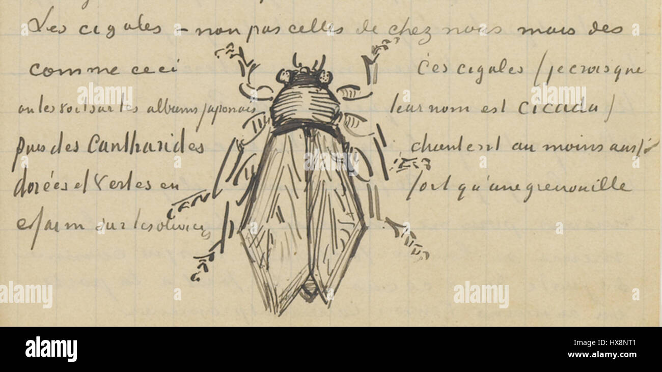 *Croquis d'une cigalle* est un dessin de Vincent van Gogh créé en juillet 1888. Il représente une cigale, mettant en valeur l’exploration précoce de la nature par van Gogh et son étude détaillée des insectes dans le cadre de sa pratique artistique plus large. Banque D'Images