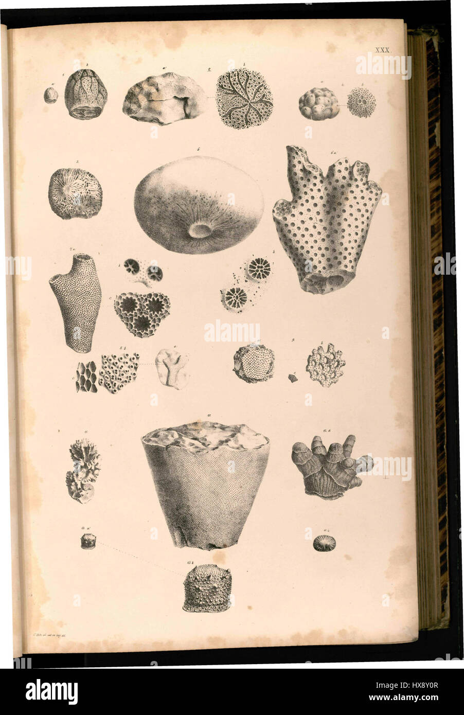 Tafel 030 est une œuvre présentant des détails complexes dans la composition et le style. L'œuvre explore un mélange de techniques visuelles et de design, caractéristiques de son époque et de l'approche de l'artiste à la forme et à la texture. Banque D'Images