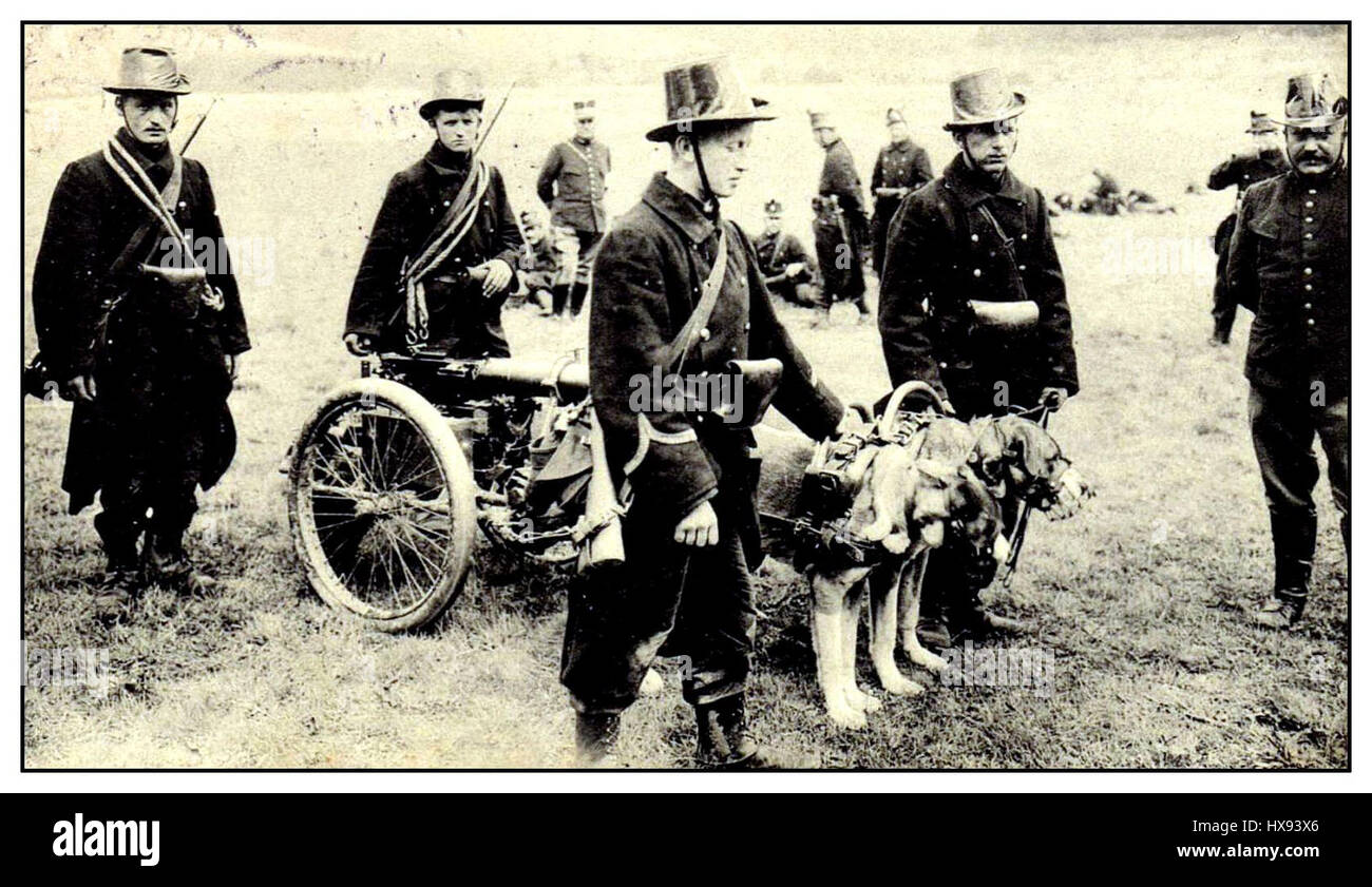 Cette photographie historique montre une mitrailleuse (mitrailleuse) de l'armée belge montée sur une calèche tirée par des chevaux. La mitrailleuse était une arme importante à la fin du XIXe siècle et au début du XXe siècle, utilisée dans plusieurs conflits, dont la première Guerre mondiale. Il représente les progrès technologiques dans la guerre pendant cette époque. Banque D'Images