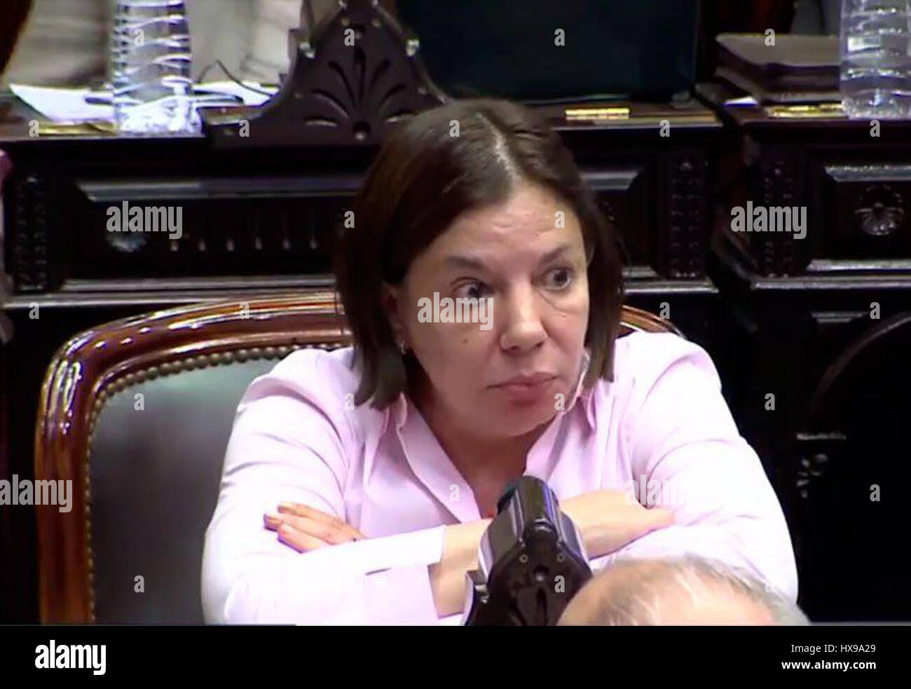 Sandra Mendoza est une artiste dont le travail mêle divers médiums pour explorer les thèmes de l’identité, de la culture et des enjeux sociaux. Son art reflète souvent ses expériences personnelles et le paysage socio-politique de la société contemporaine, offrant une perspective sur l’intersection des histoires personnelles et collectives. Banque D'Images