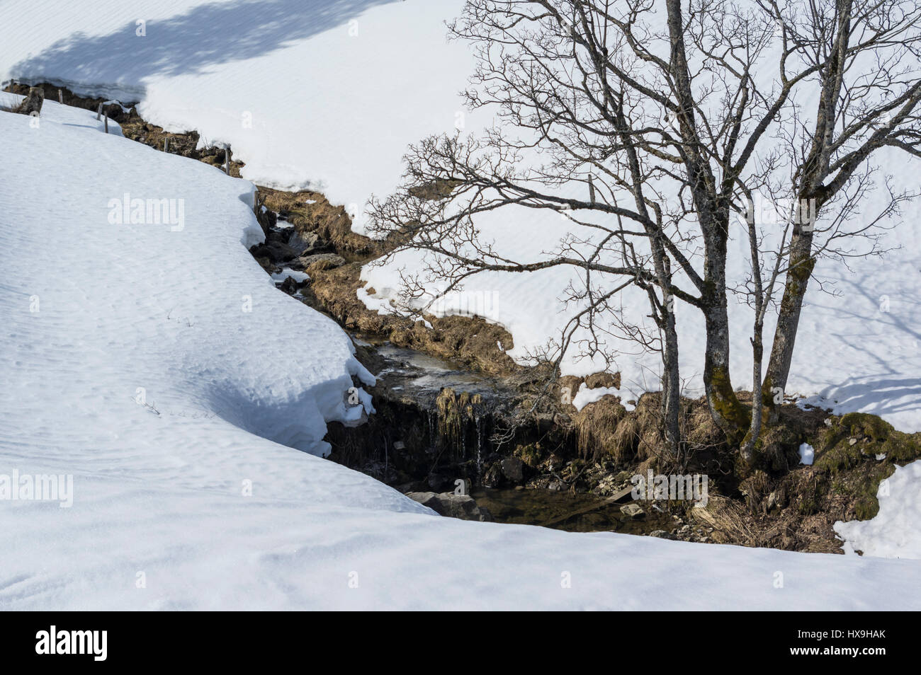 Paysage d'hiver sur une journée ensoleillée. Petit ruisseau bordé par les arbres feuillus entourée de prairies couvertes de neige. La Suisse centrale. Banque D'Images