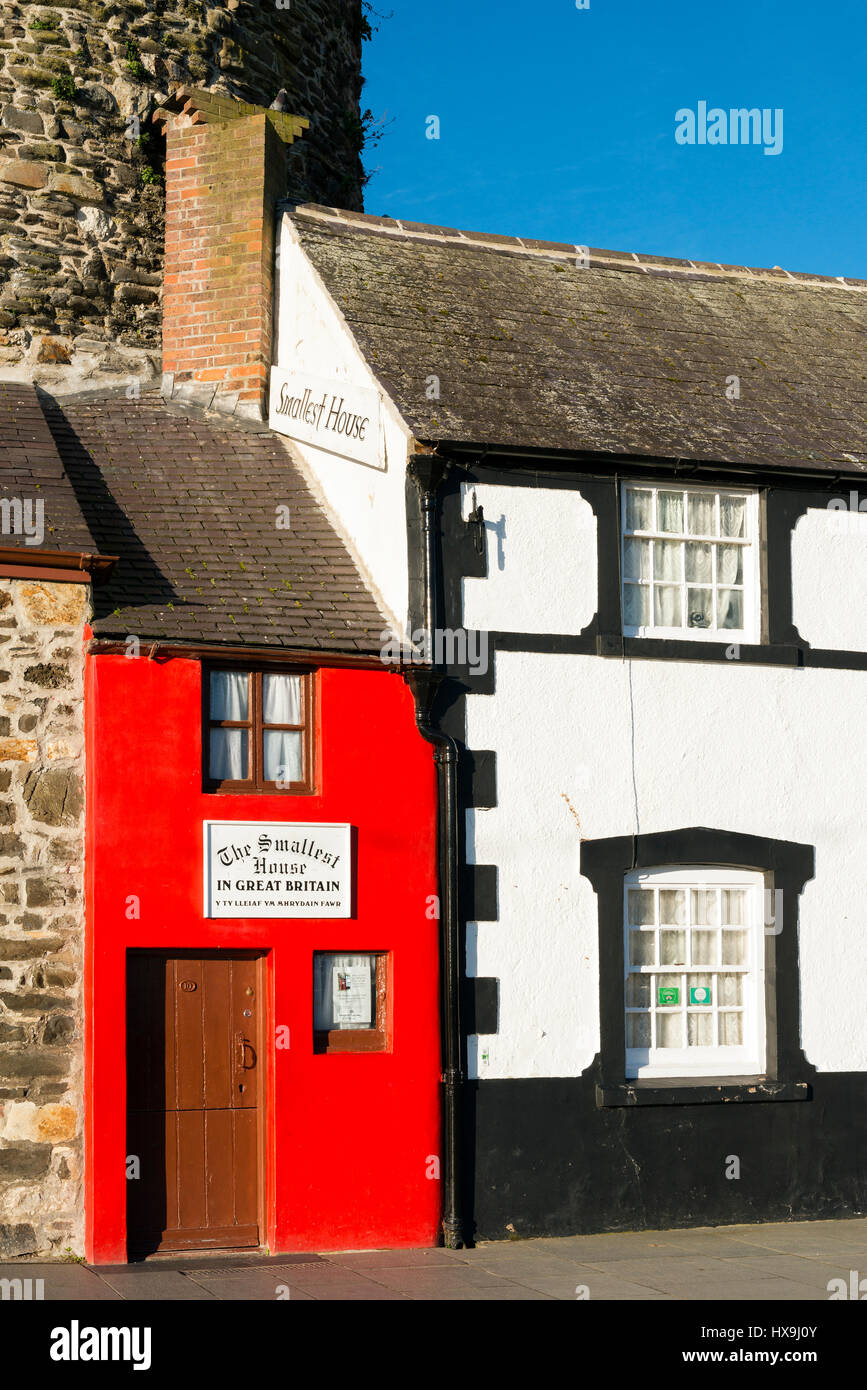 La plus petite maison en Grande-Bretagne, Conwy, Pays de Galles, Royaume-Uni. Banque D'Images