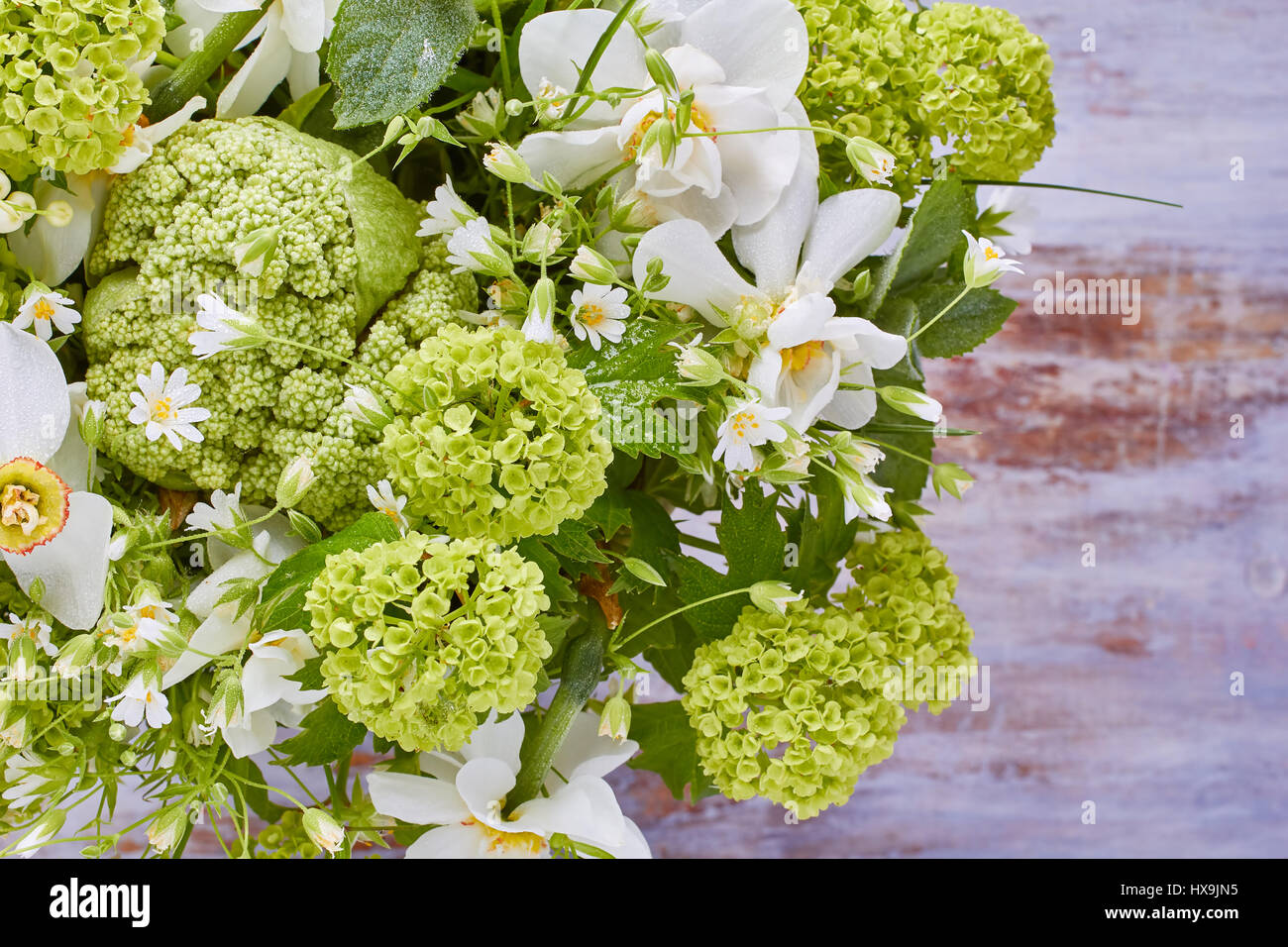 Close-up de diverses fleurs de printemps frais Banque D'Images