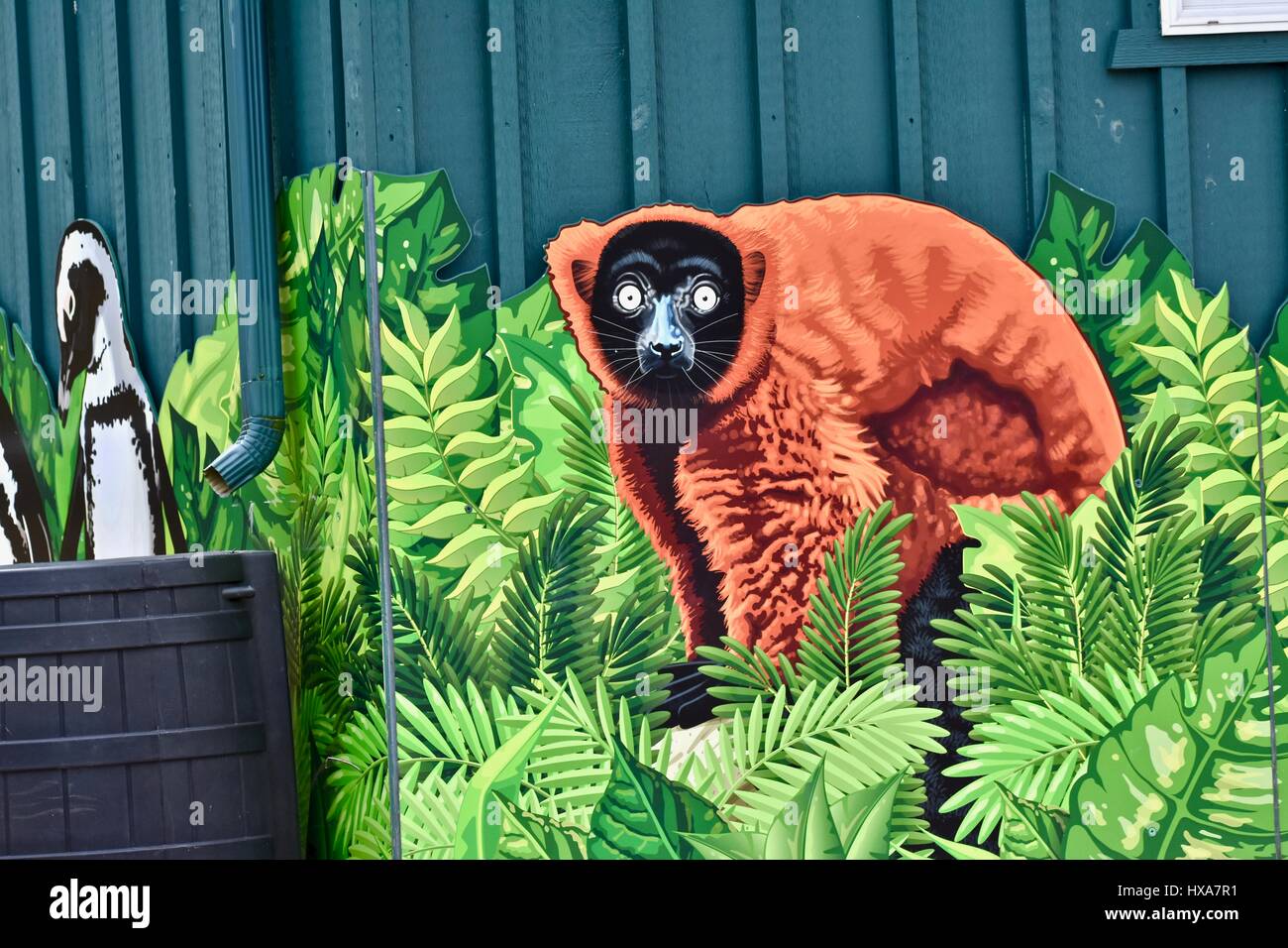 Avec la peinture de bâtiment Zoo lemur Banque D'Images