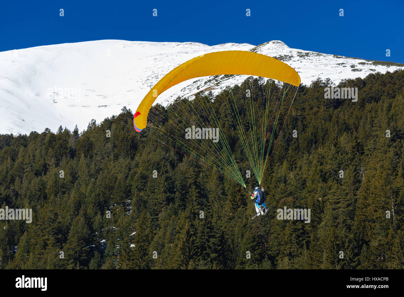 Vol de vitesse comme le sport de l'air de voler un tissu petit, rapide, habituellement de l'aile à proximité d'une pente raide est un sport d'hiver fait en skis Banque D'Images