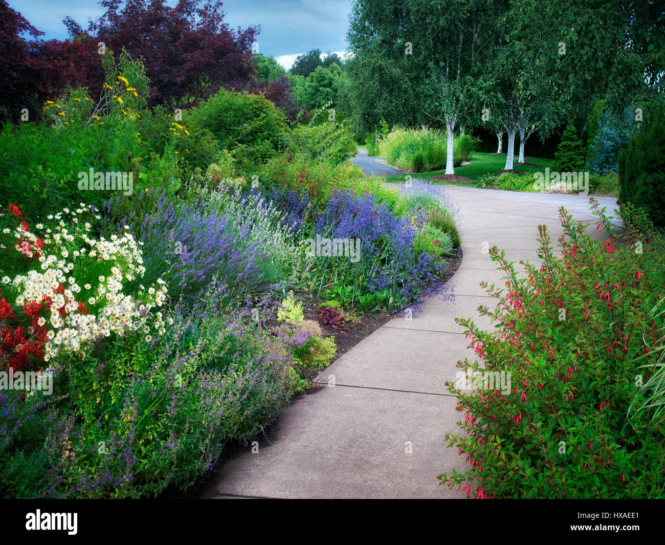 Sentier en Oregon Garden. Silverton, Oregon Banque D'Images
