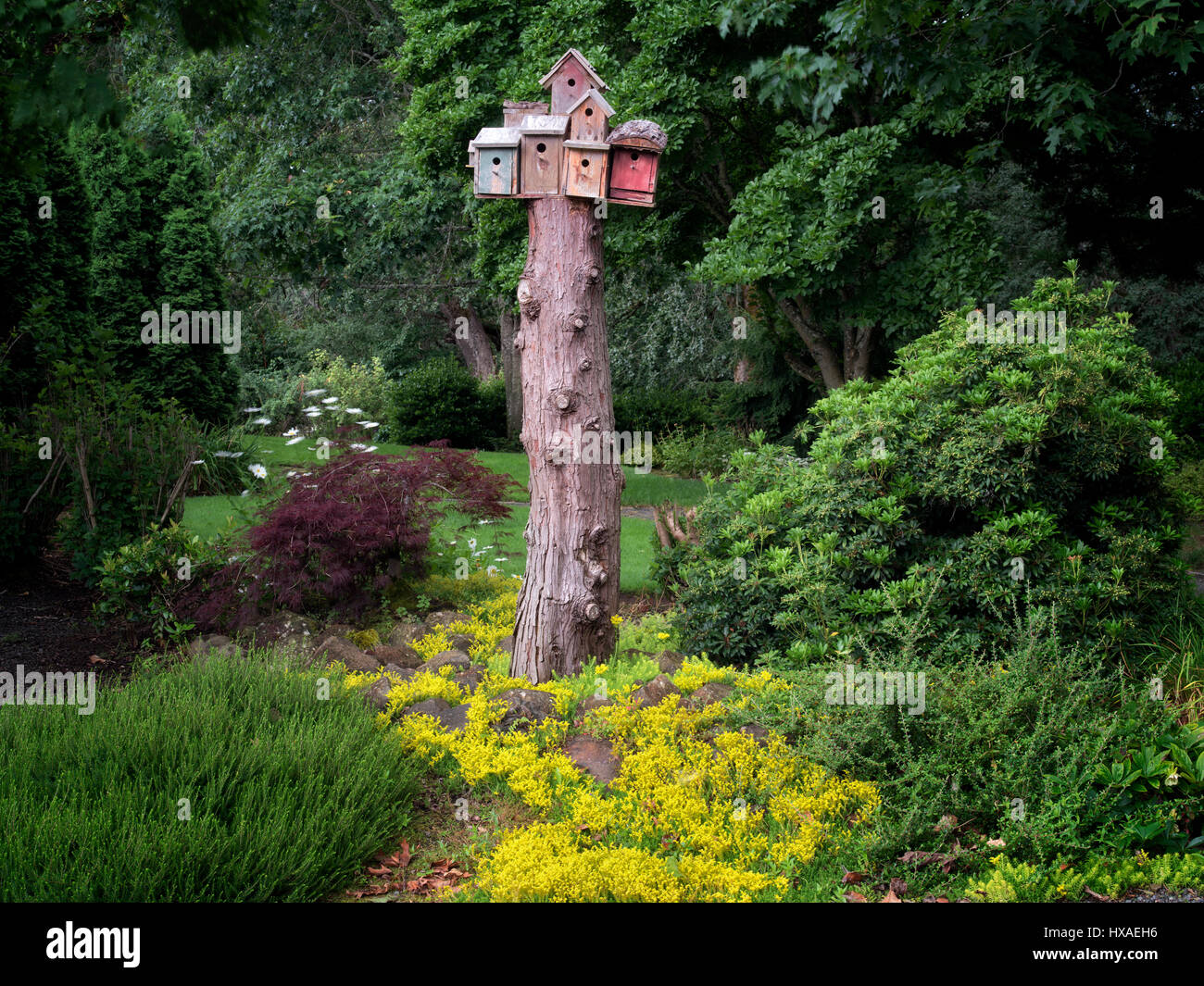 Jardin de l'Oregon. Silverton, Oregon Banque D'Images