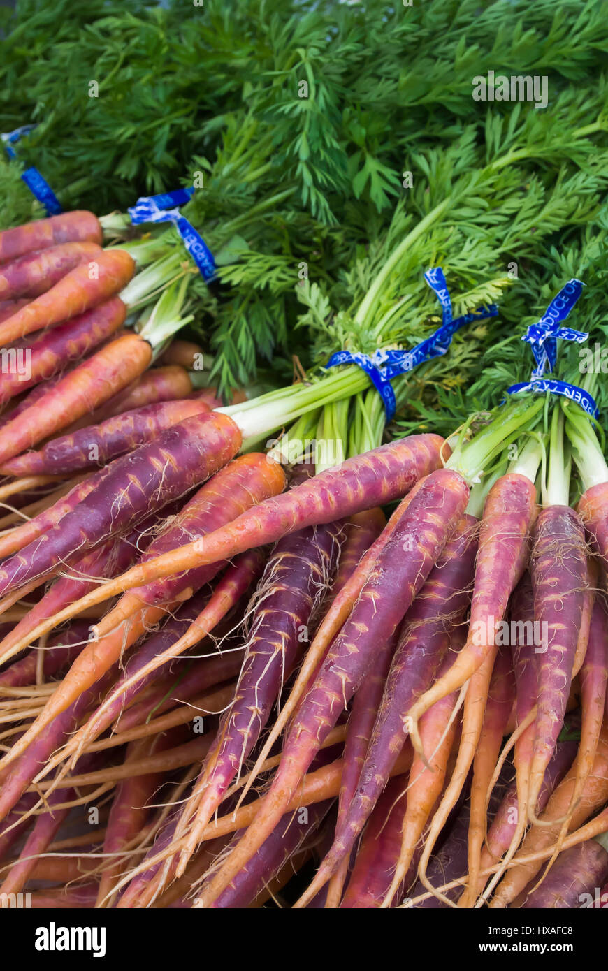 Des carottes pour la vente au marché d'Agriculteurs Banque D'Images