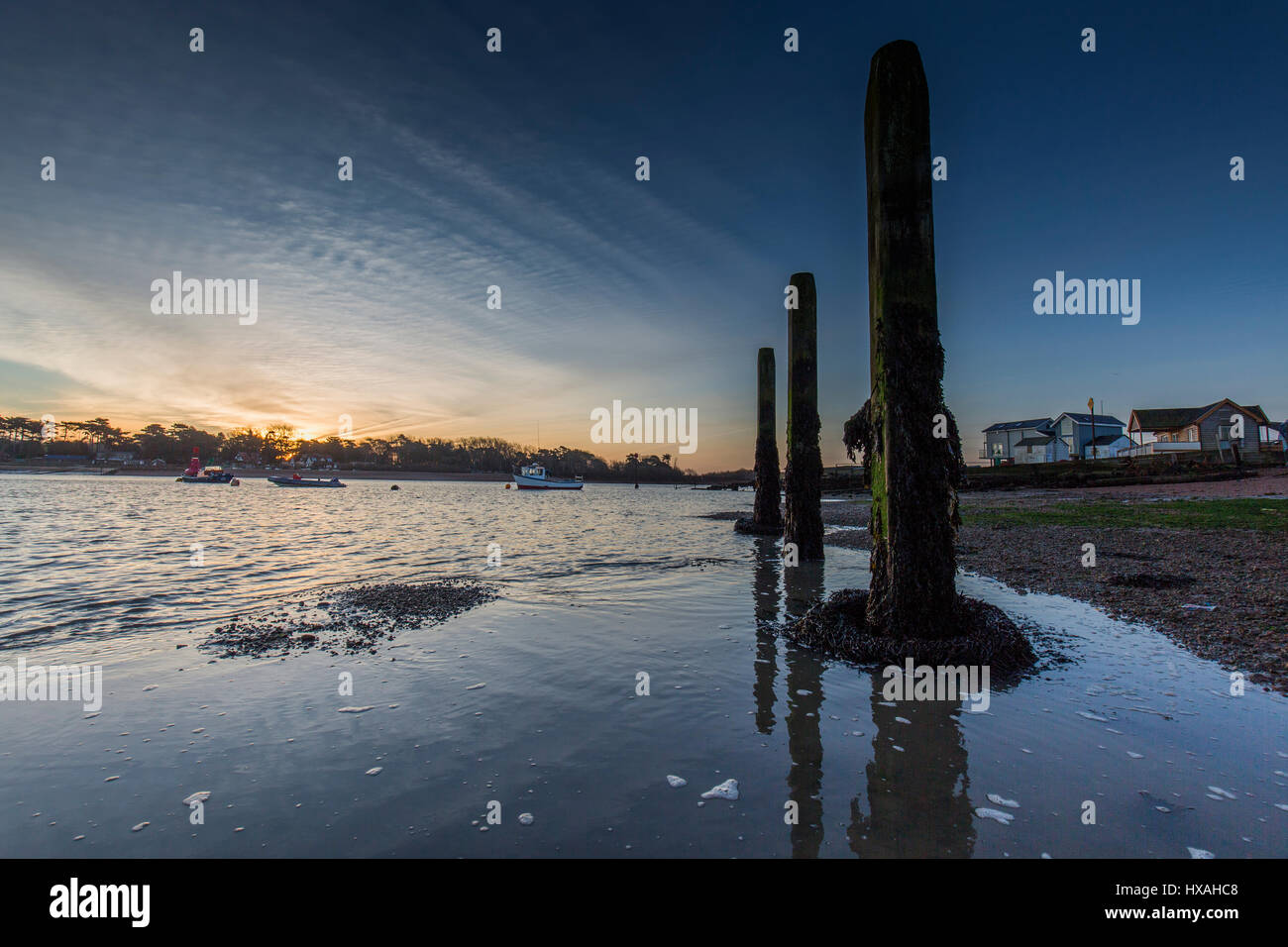 Poteaux en bois en décomposition dans l'estuaire de la rivière Deben, Suffolk, Angleterre. Banque D'Images