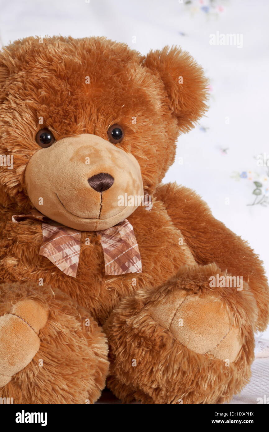 Sourit ours peluche jouet mignon, ami Photo Stock - Alamy