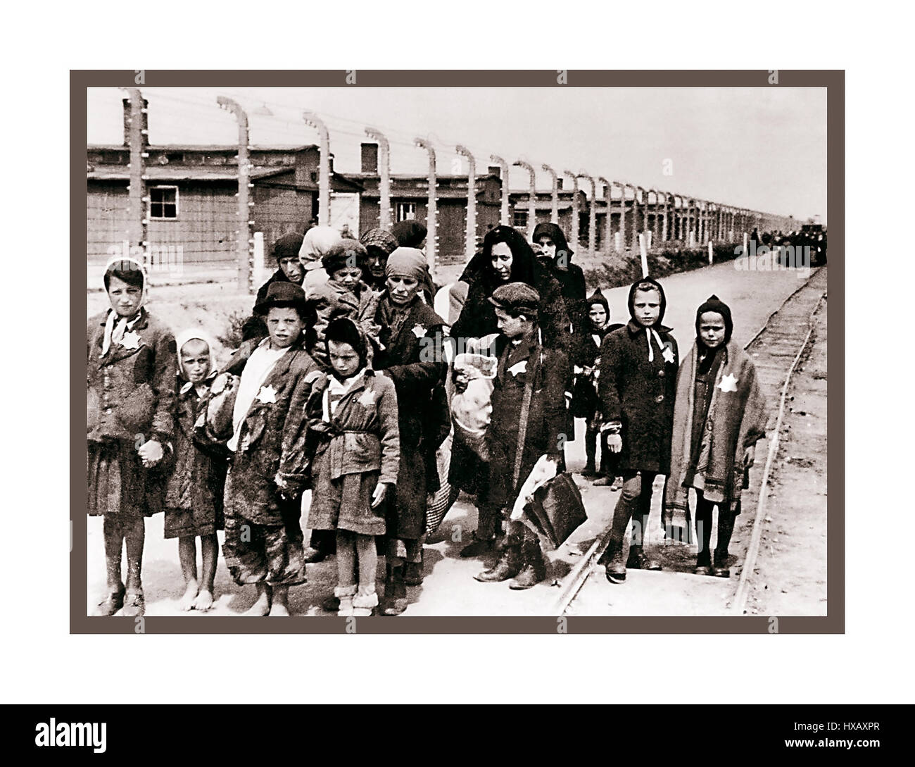 Enfants Juifs Portant Des Etoiles Jaunes Designes Nazis Arrivent A Auschwitz Birkenau A Ww2 Allemand Nazi De Concentration Et Camp D Extermination Enfants Juifs Representent Le Plus Important Groupe De Ces Deportes Dans Le