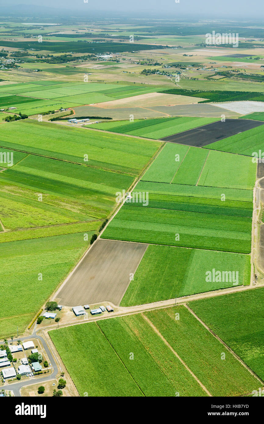 Vue aérienne de terres agricoles de canne à sucre près de Bundaberg, Queensland, Australie Banque D'Images