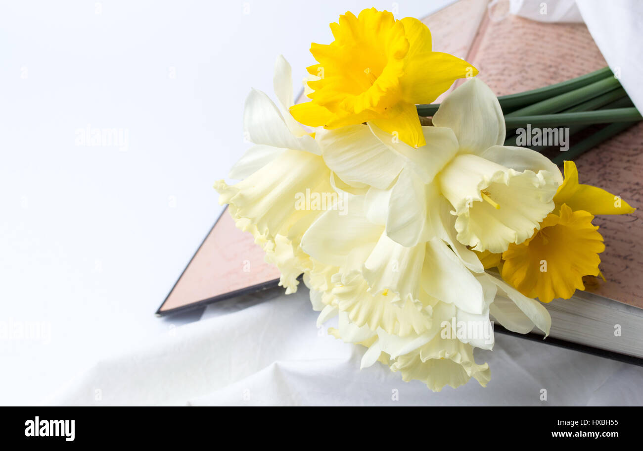 Narcisse jaune fleurs sur un livre vintage Banque D'Images
