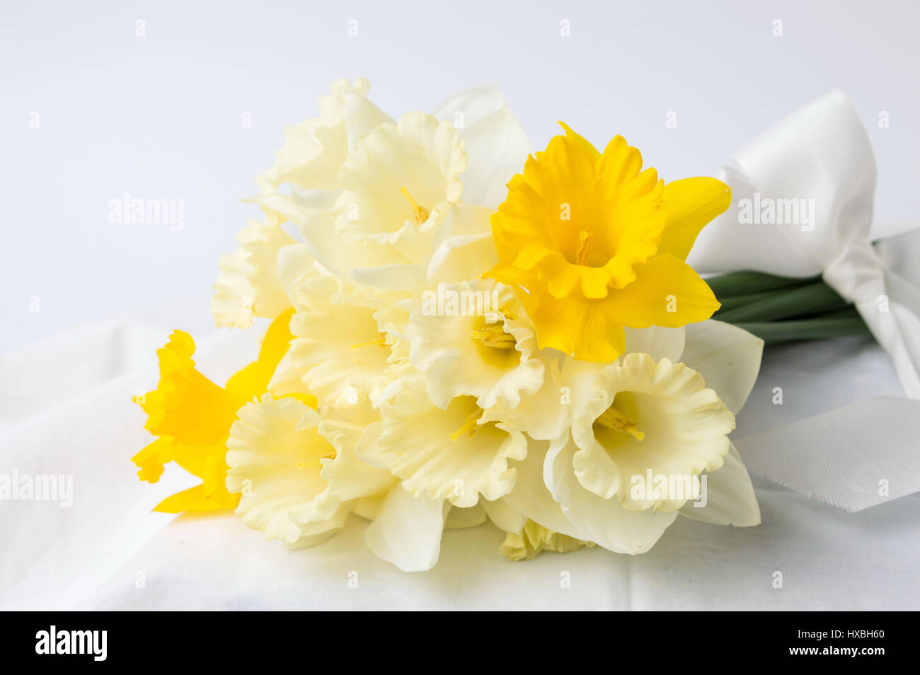 Narcisse fleurs bouquet enveloppé dans du textile blanc Banque D'Images
