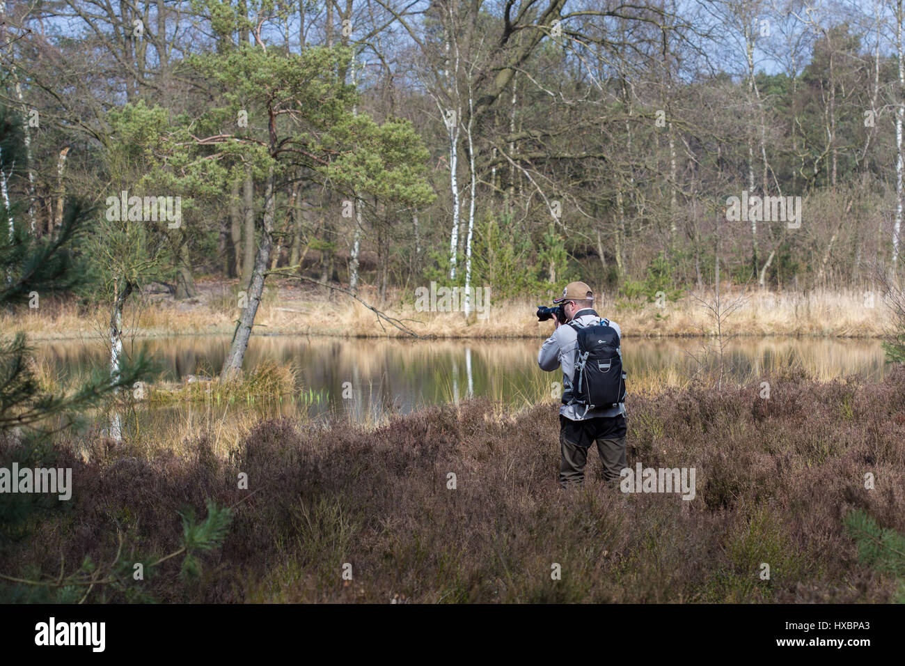 Photographe masculin en action avec sac à dos noir en prenant des photos de la nature, vu de l'arrière Banque D'Images