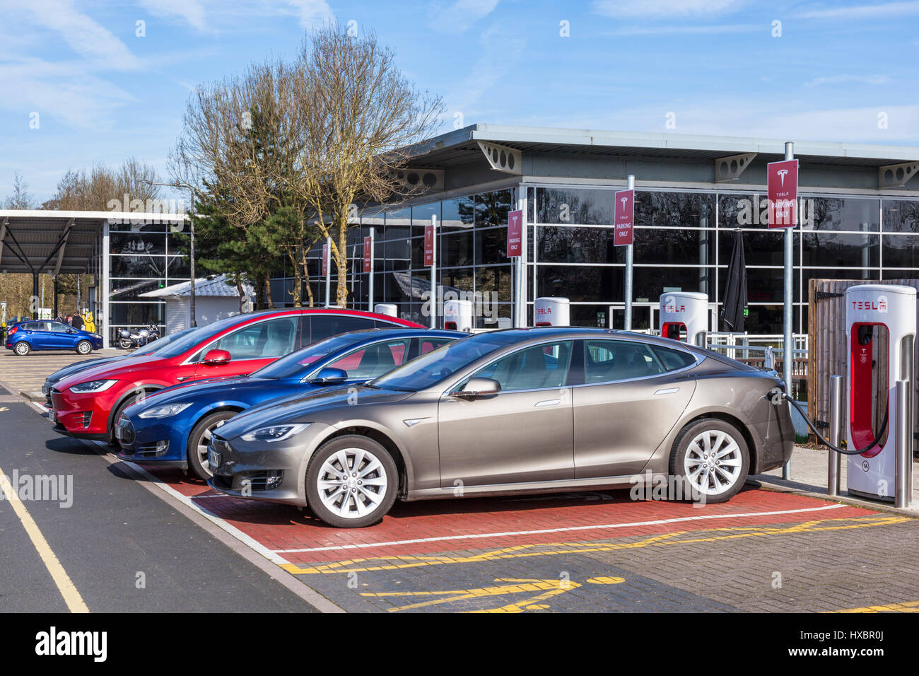 tesla voiture tesla charge tesla modèle s charge tesla supercharging tesla supercharger hopwood station-service m42 angleterre gb véhicule électrique Banque D'Images