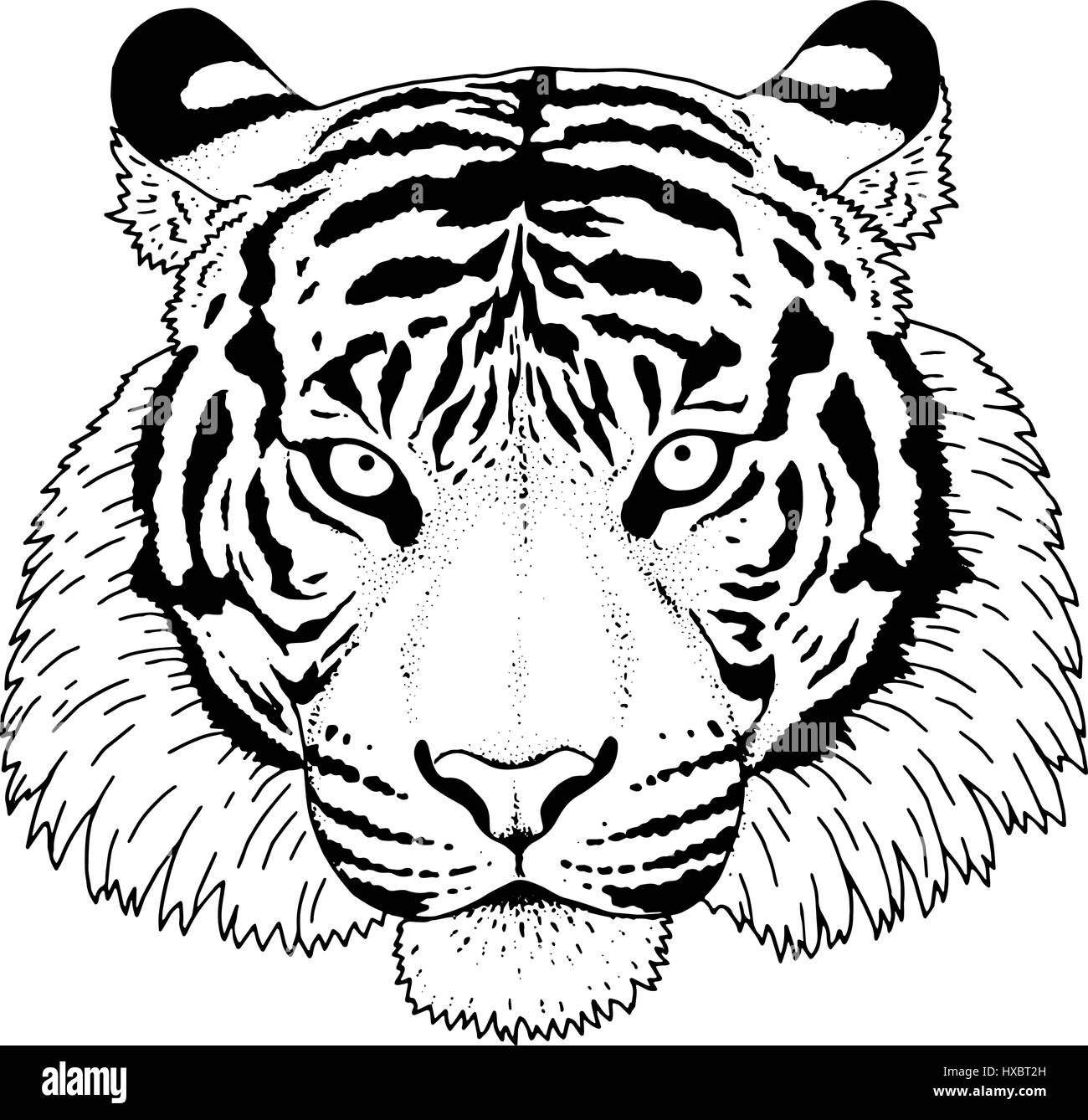 Tiger Head Vector Illustration Illustration de Vecteur