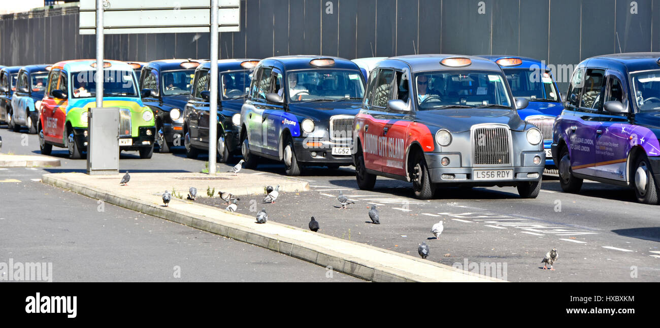 Des taxis londoniens stacking font la file d'attente à la gare de Paddington, un chauffeur britannique et des taxis noirs attendent de se déplacer vers l'avant pour prendre le train devant les passagers surveillés par des pigeons Banque D'Images