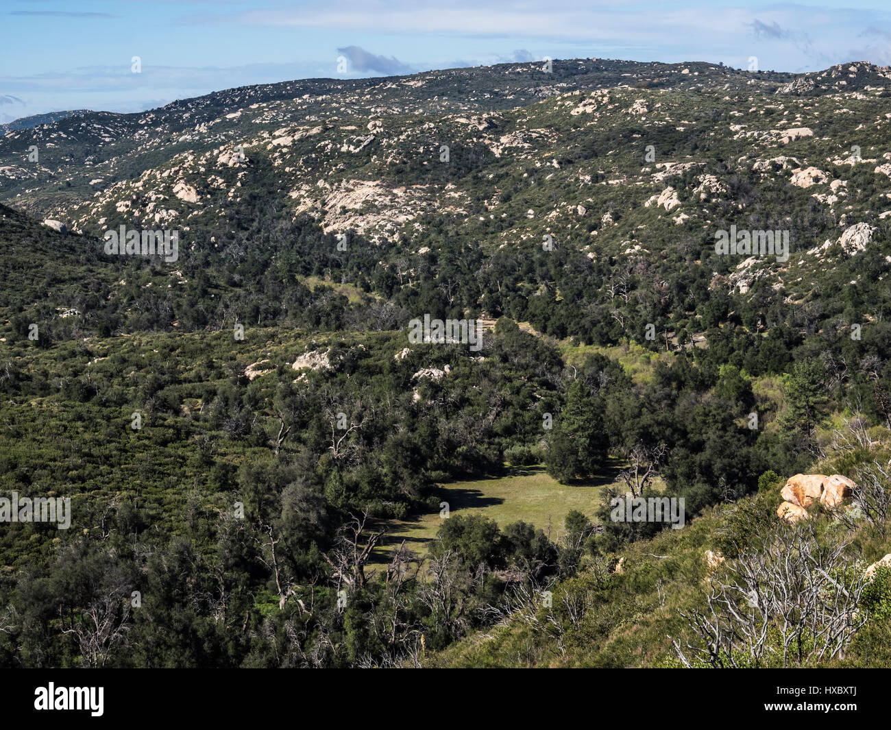 Parc d'état de cuyamaca sentier de randonnée de Pine Ridge Banque D'Images