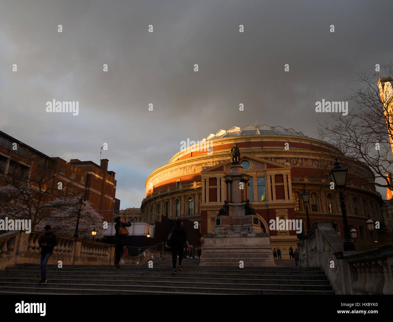 Le Royal Albert Hall en soirée spectaculaire sunshine Banque D'Images