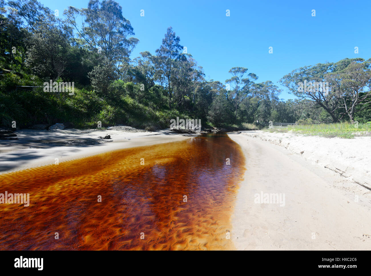 Tachée de tanin Creek qui se jette dans la mer au sein d'Abraham, Currarong, Shoalhaven, Jervis Bay, New South Wales, NSW, Australie Banque D'Images