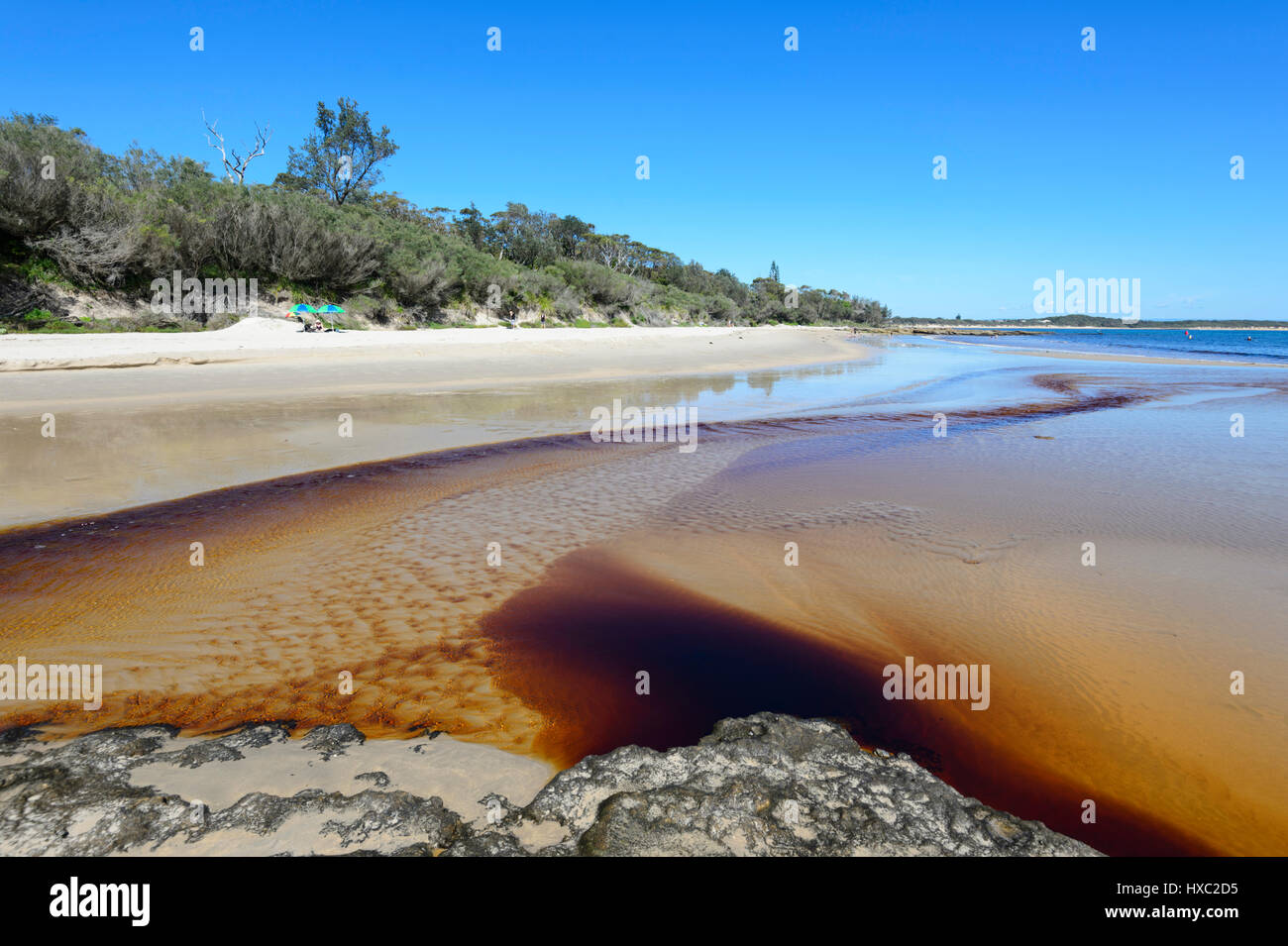 Tachée de tanin Creek qui se jette dans la mer au sein d'Abraham, Currarong, Shoalhaven, Jervis Bay, New South Wales, NSW, Australie Banque D'Images