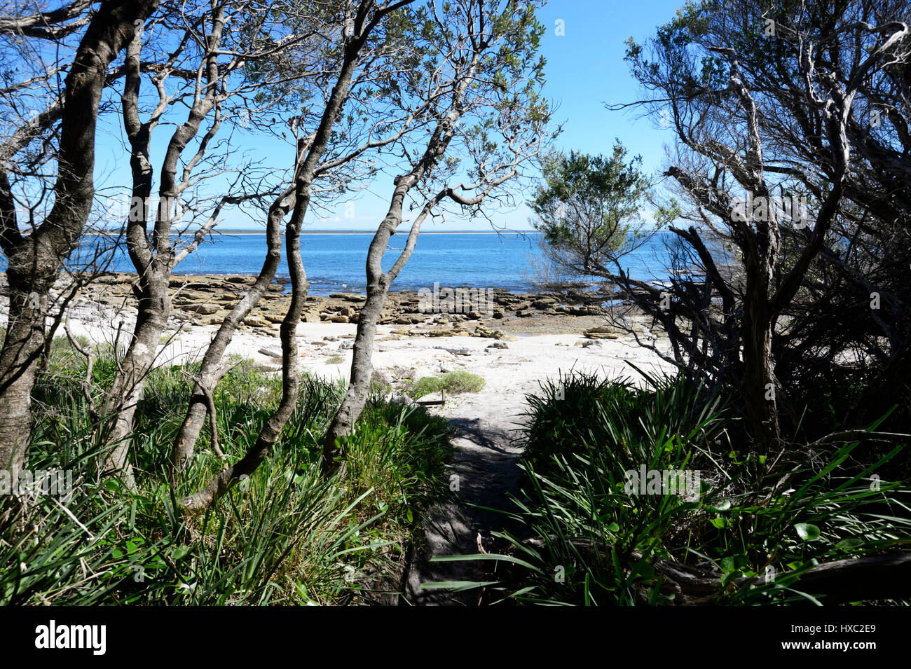 Plage de point de baleines, Currarong, Beecroft Péninsule, Jervis Bay, New South Wales, NSW, Australie Banque D'Images