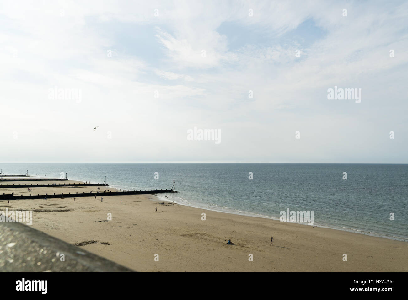 La Norfolk à l'été, sur la mer de hêtre de galets Banque D'Images