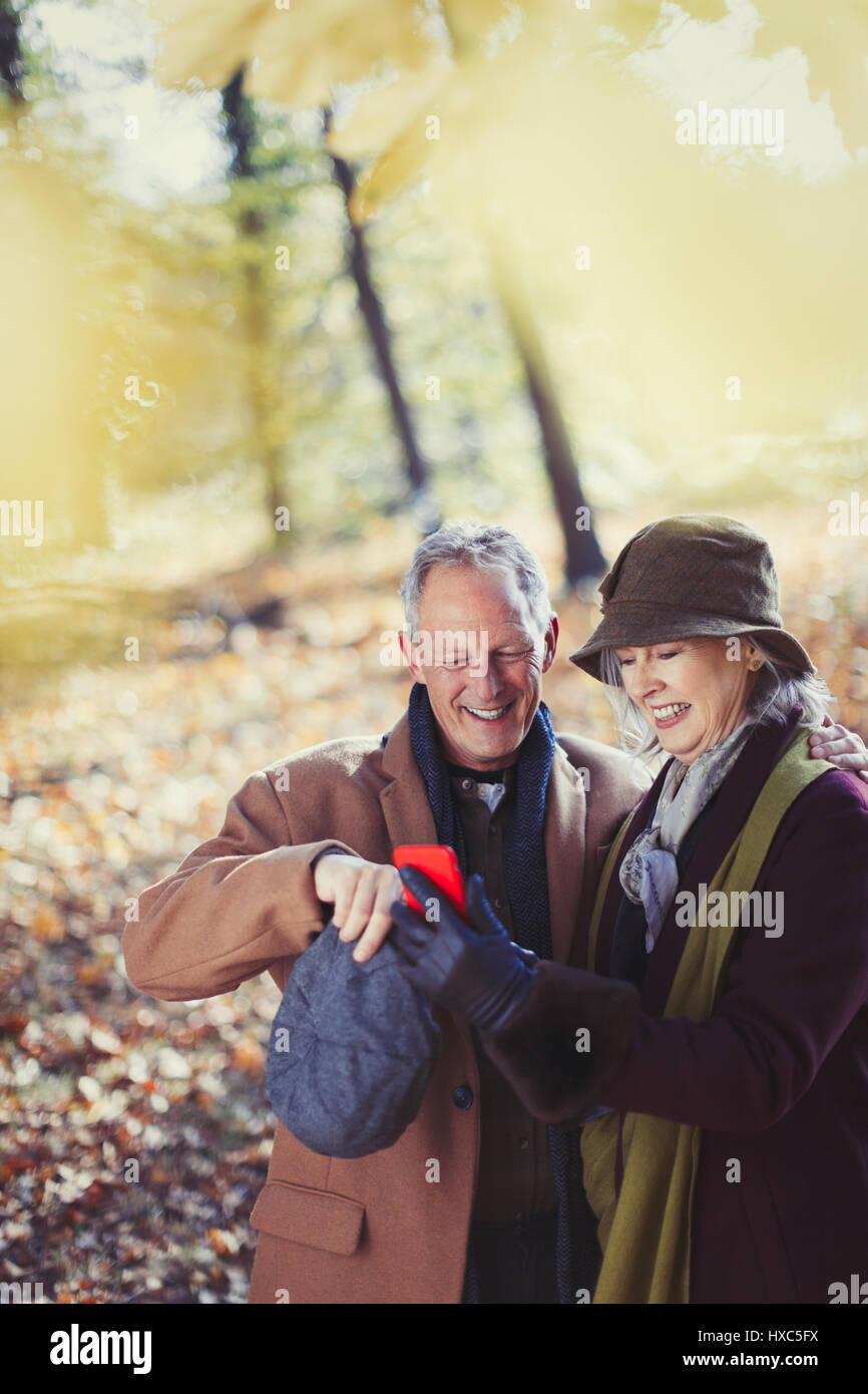 Les grands-parents using cell phone in autumn park Banque D'Images