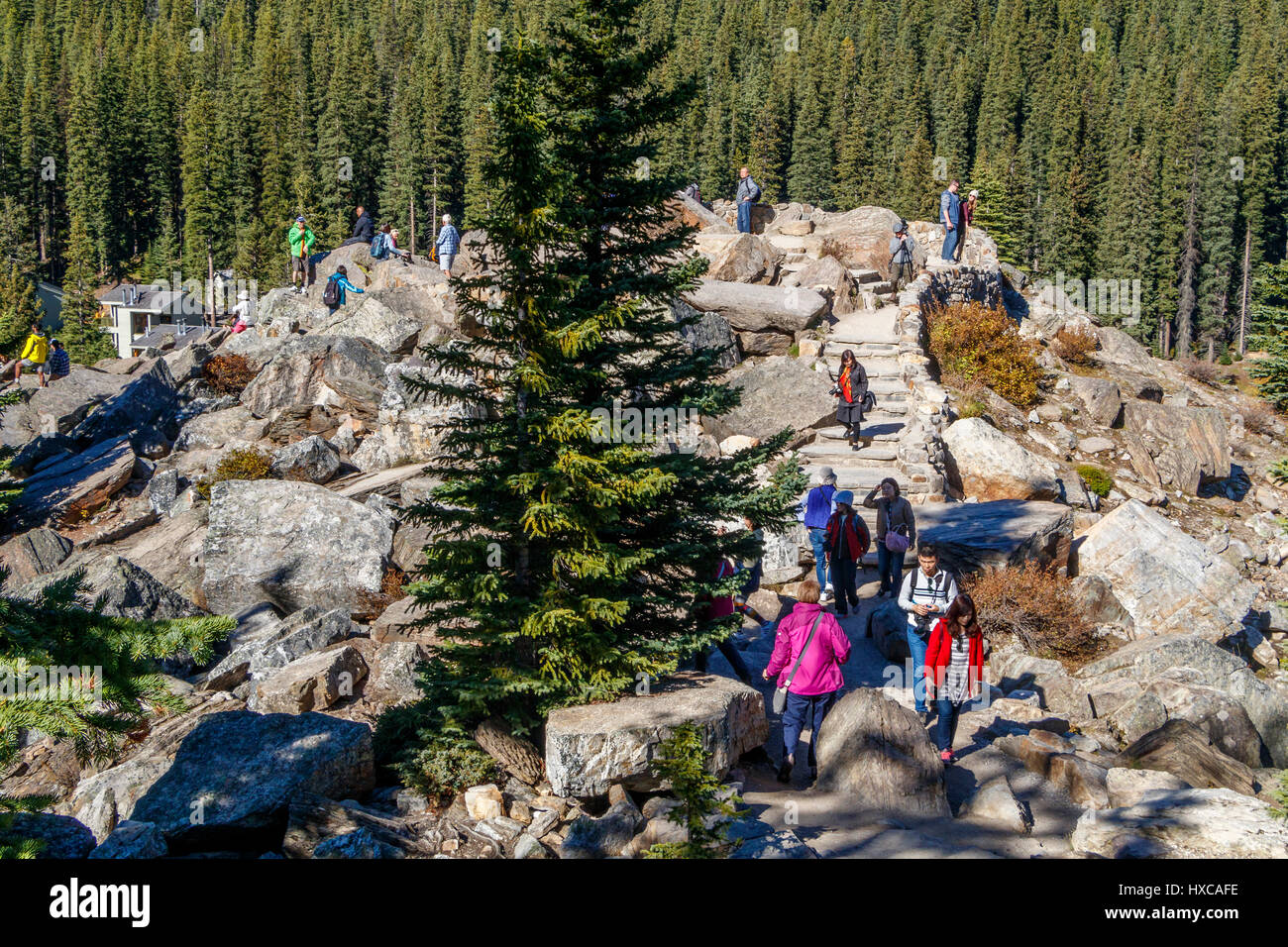 Une zone de la vallée des Dix-Pics au lac Moraine, Banff National Park, Alberta, Canada. Banque D'Images