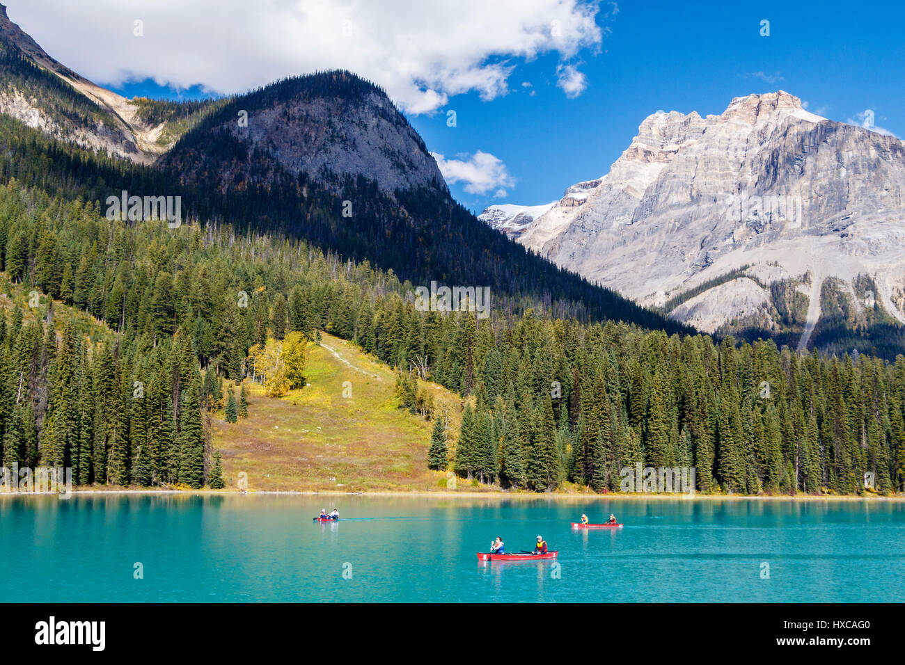 Emerald Lake et ses environs Président Range, monts, situé dans le parc national Yoho, Colombie-Britannique, Canada Banque D'Images