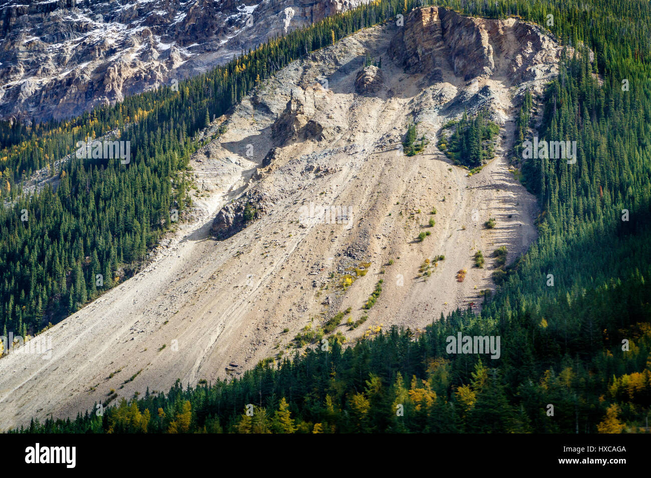 La preuve d'un glissement de terrain sur les contreforts des montagnes Rocheuses dans le parc national Yoho, Colombie-Britannique, Canada. Banque D'Images