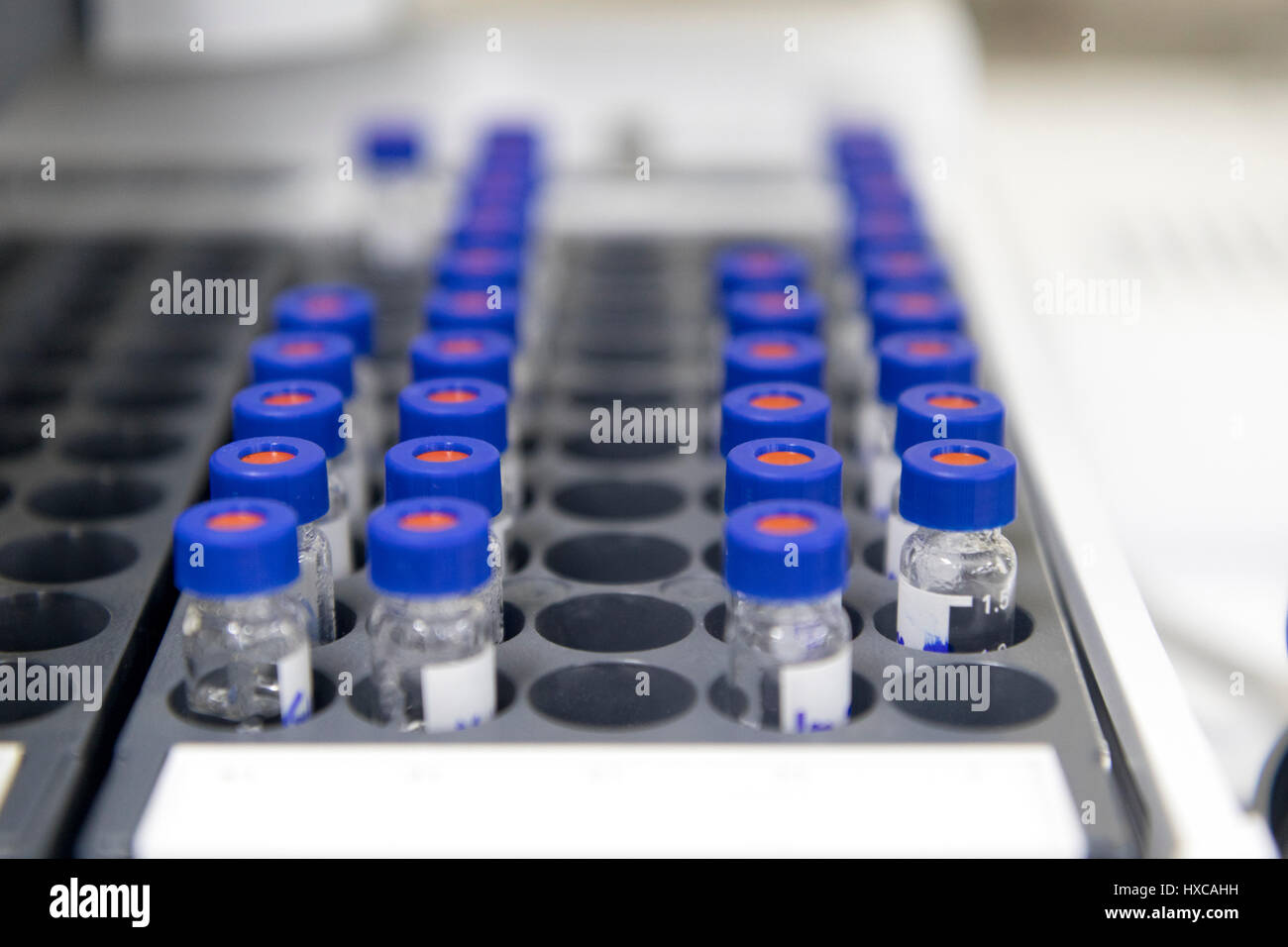 Les flacons sont disposés dans l'échantillonneur automatique du matériel de laboratoire. Banque D'Images