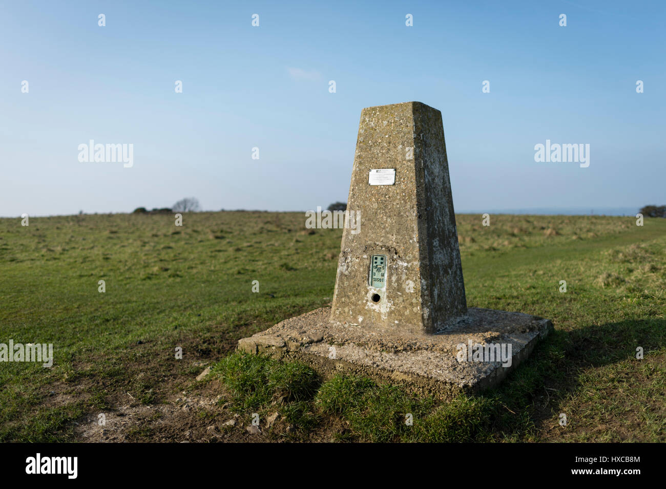 L'Ordnance Survey Trig Point sur haut de Butser Hill, Queen Elizabeth Country Park, Hampshire, Angleterre, Royaume-Uni Banque D'Images