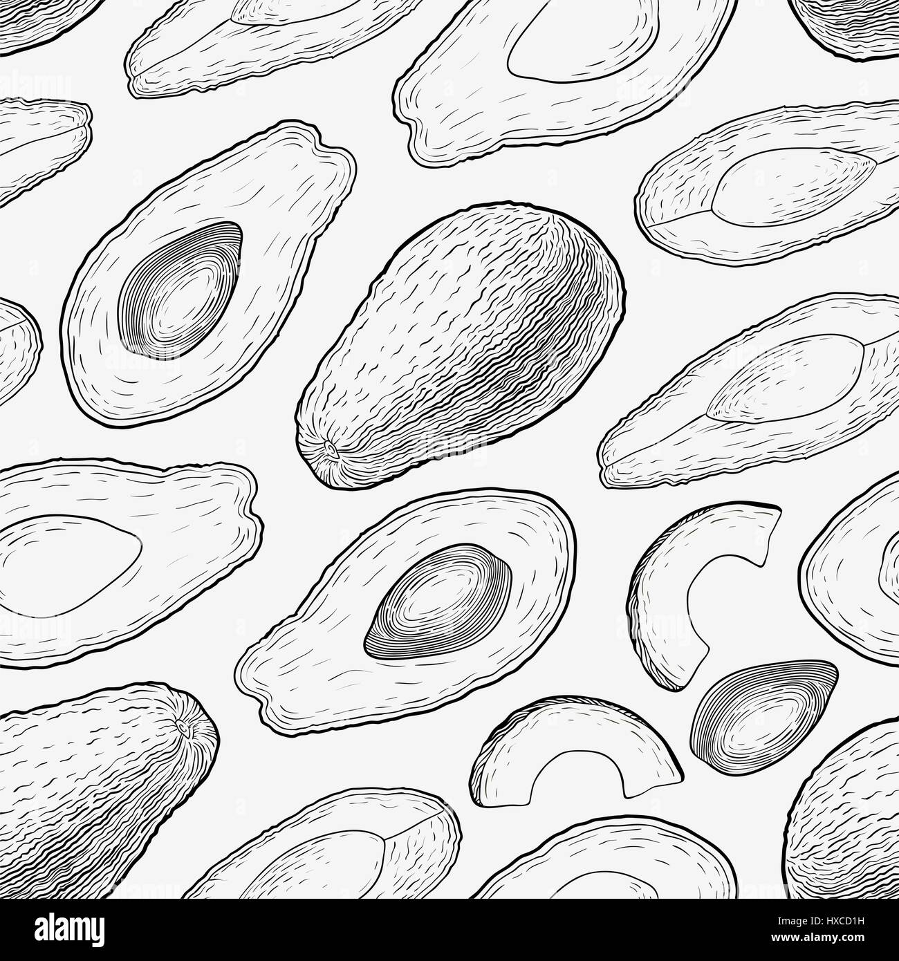 Avec motif transparent gravé à la main de l'avocat isolé sur fond blanc. Illustration de Vecteur
