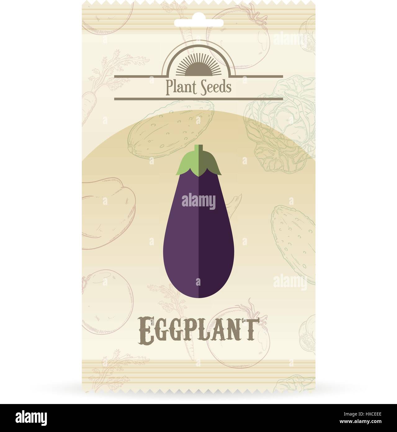 Lot de graines eggplant Illustration de Vecteur