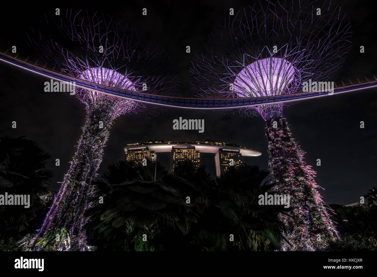 Une vue vers le haut des jardins de la baie avec vue sur l'arrière-plan les arbres lumineux de l'hôtel Marina Bay Sands à Singapour. Banque D'Images