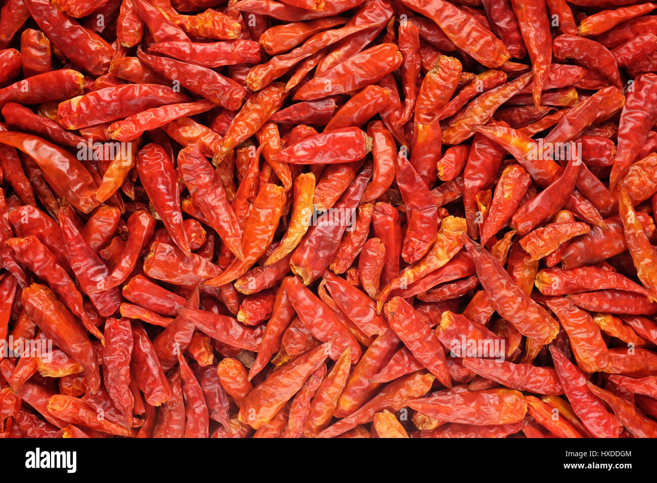 Birds Eye rouge épicé séchées piments comme une texture de fond abstrait Banque D'Images