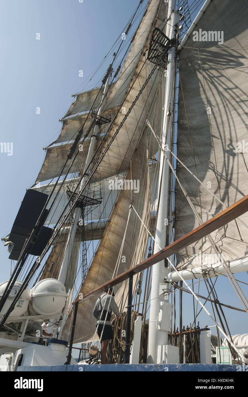 L'Equateur, Galapagos, gréement et voiles de bateau trois-mâts barque-goélette Banque D'Images