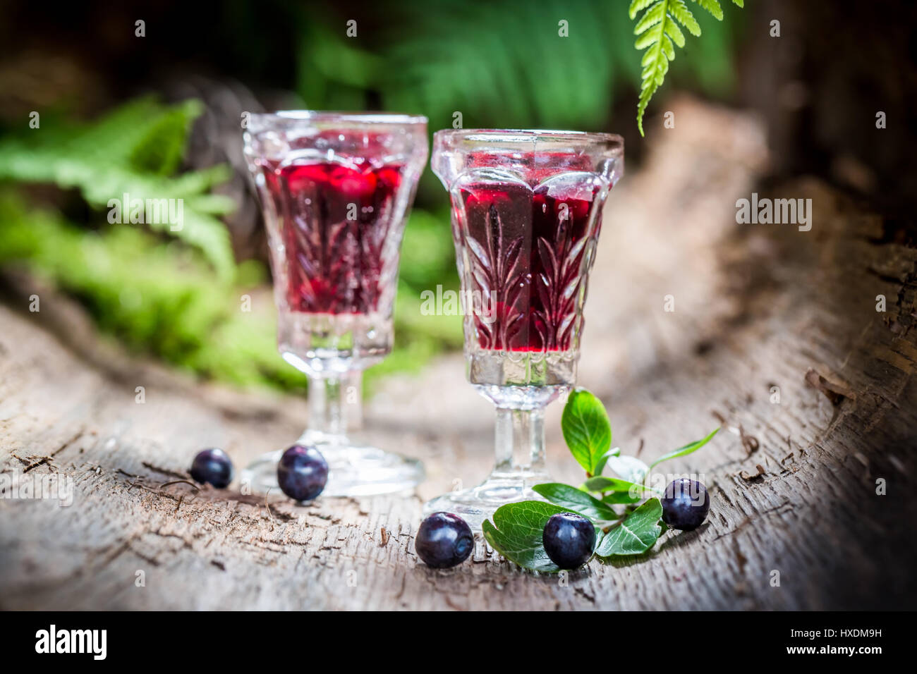 Liqueur savoureuse avec de l'alcool et les bleuets Banque D'Images