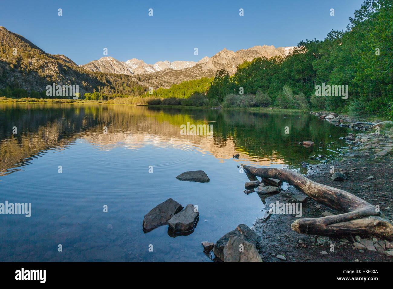 Réflexion matinale des montagnes de la Sierra Nevada sur un lac alpin en Californie. Banque D'Images