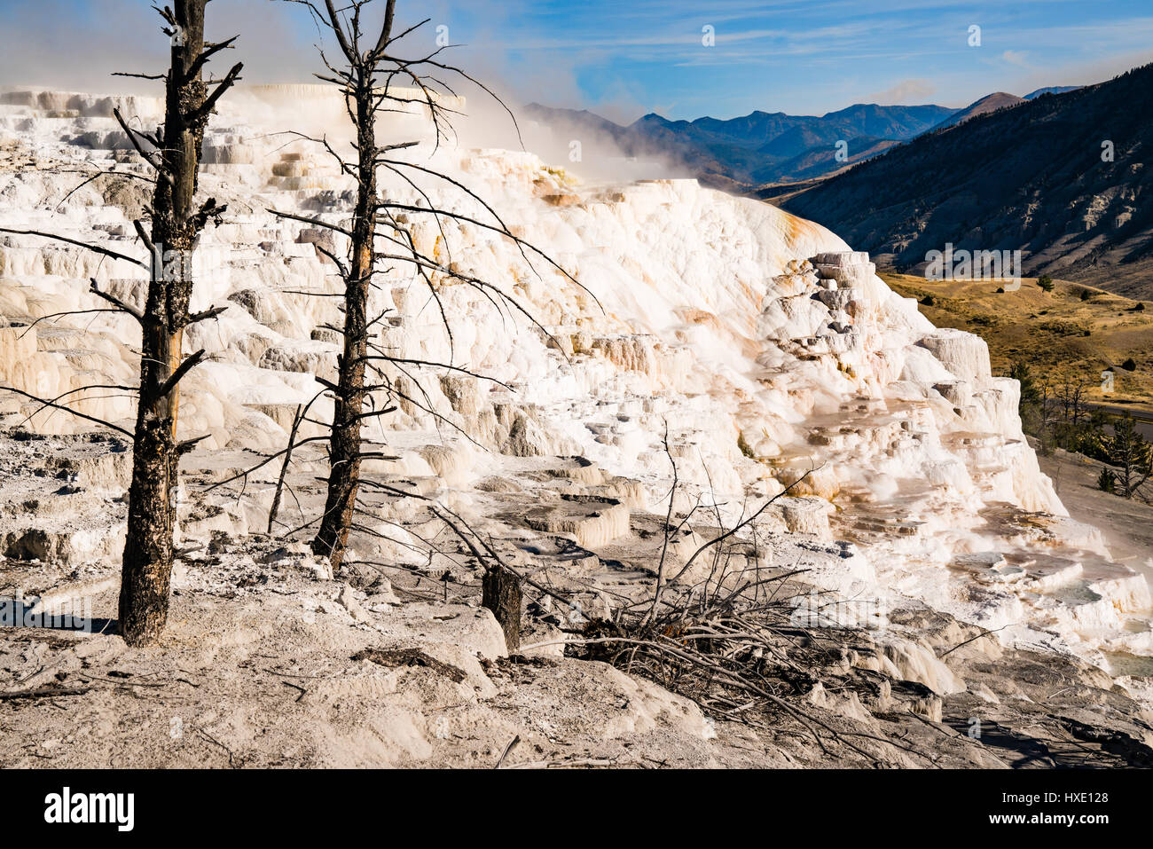 Les dépôts de calcaire en terrasses de Mammoth Hot Springs, Parc National de Yellowstone Banque D'Images