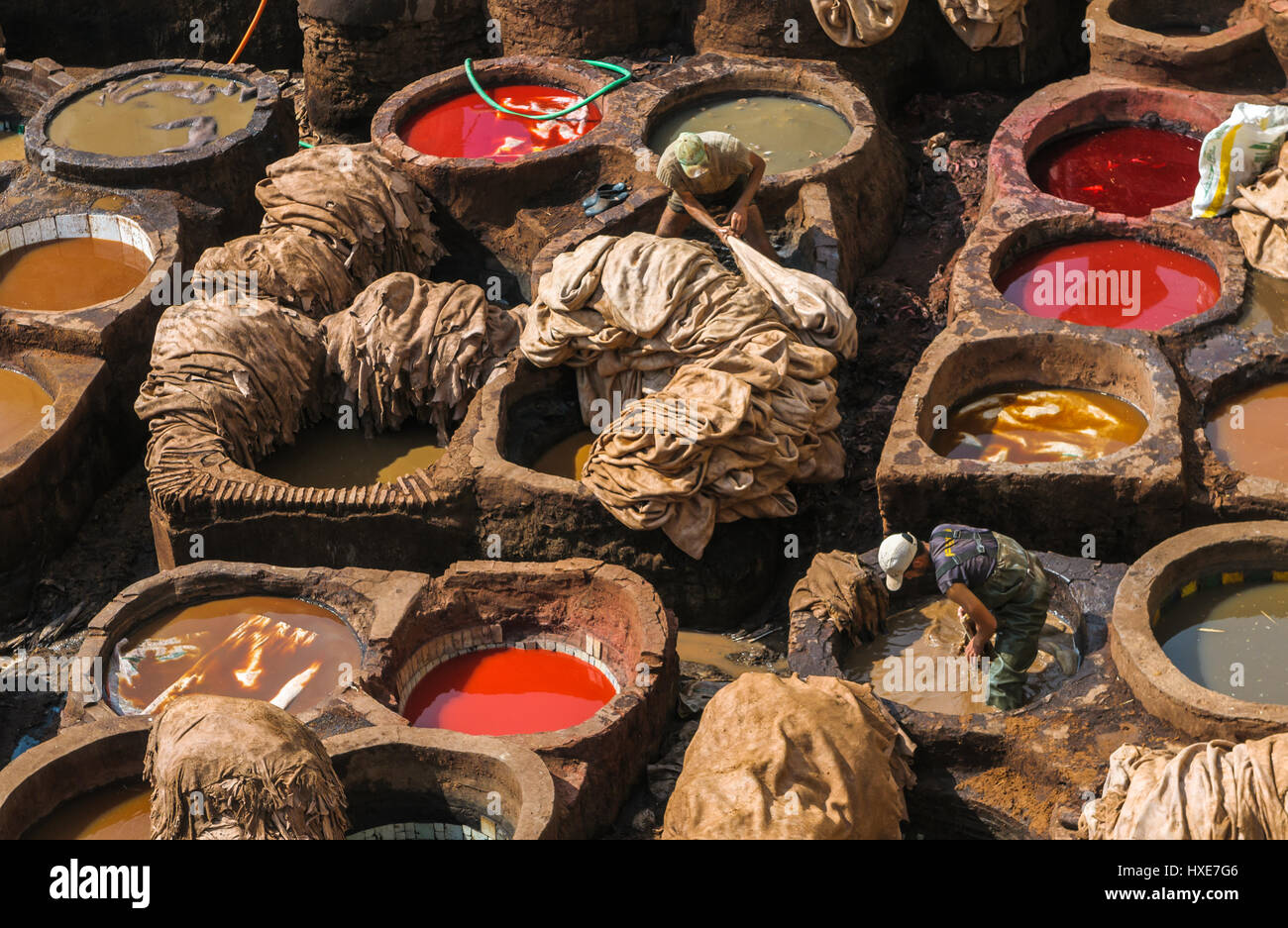 Tannerie dans fes, Maroc Banque D'Images