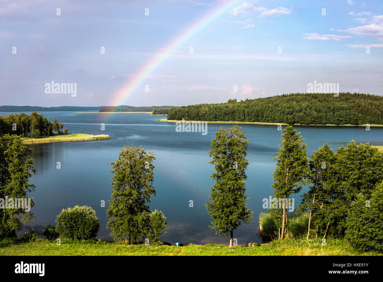 En été au cours de l'arc-en-Stroust Lake dans la région de Braslav du Bélarus. Banque D'Images