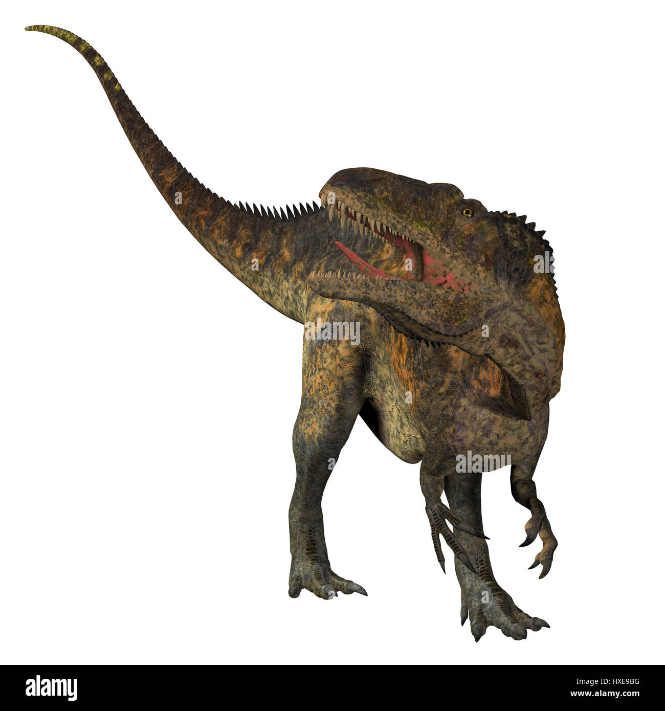 Acrocanthosaurus était un dinosaure théropode carnivore qui vivait en Amérique du Nord dans la période du Crétacé. Banque D'Images