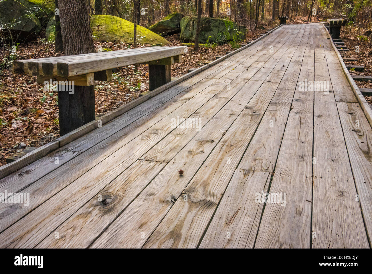 Sentier de la promenade en bois jusqu'à la carrière La pièce à Stone Mountain Park à Atlanta, Géorgie, USA. Banque D'Images