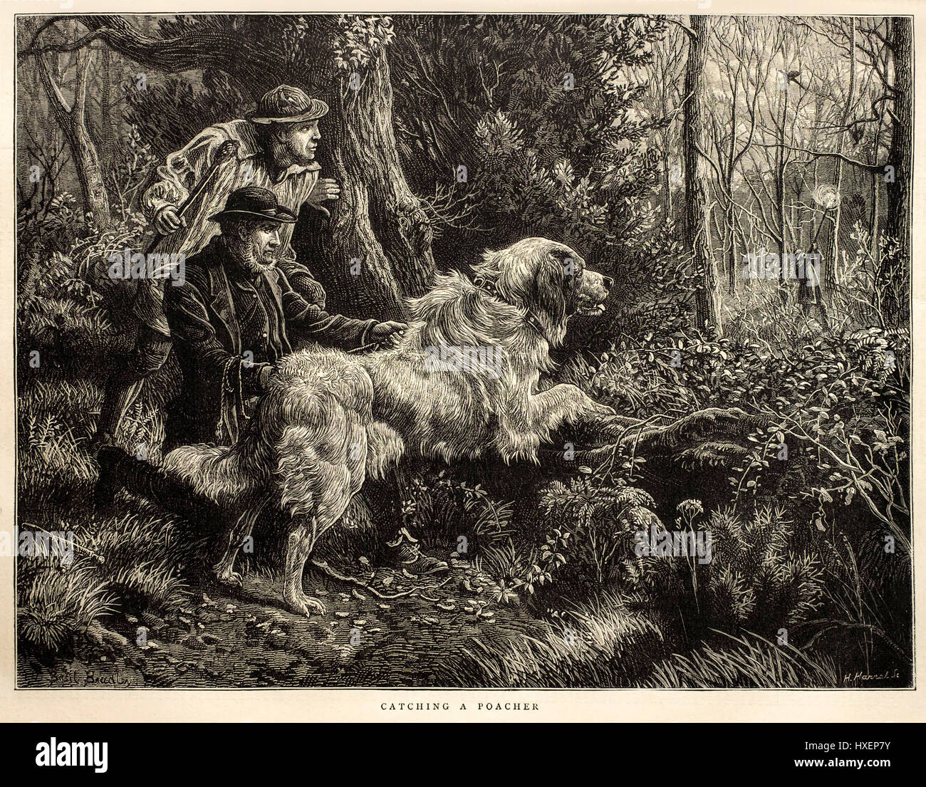 1874 Victorian antique 'illustration de la capture d'un braconnier' par Horace Harral de 'l'illustration' journal hebdomadaire Banque D'Images