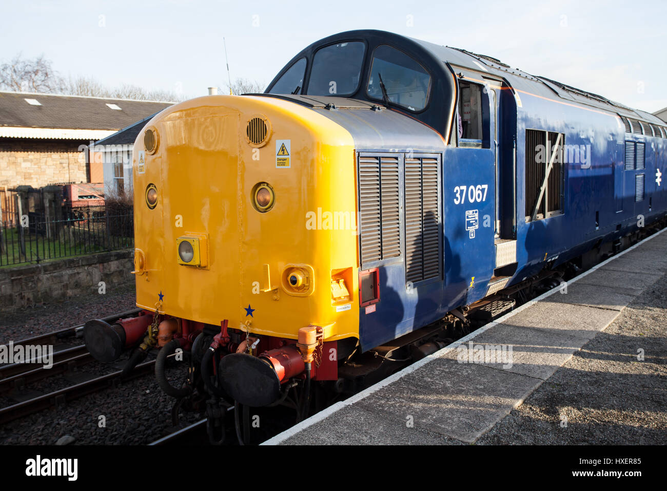Une locomotive diesel de la classe 37 Banque D'Images