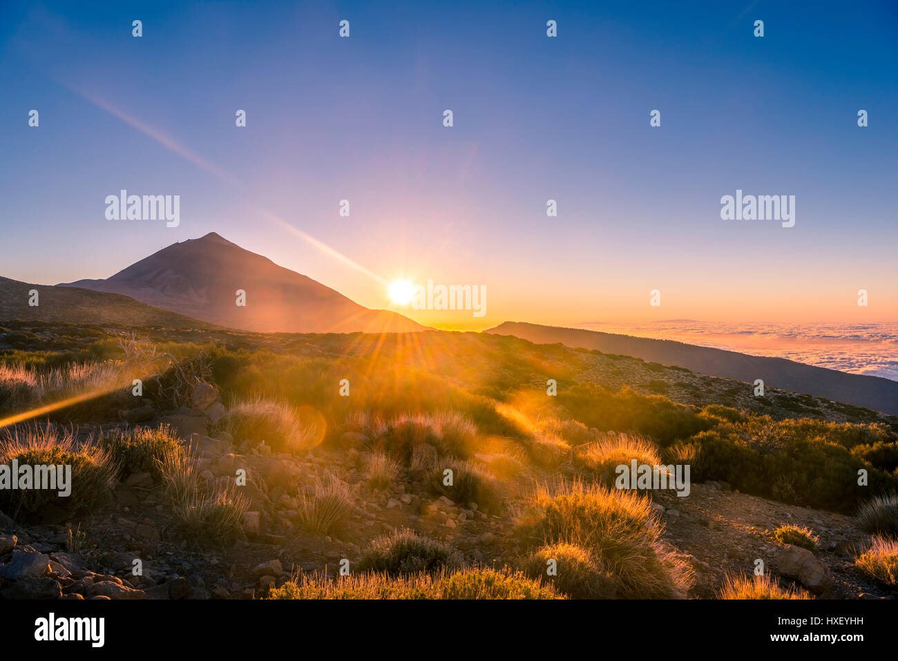 Coucher de soleil, ciel nuageux, bougies, le volcan Teide et le volcan paysage, paysage rétroéclairé, parc national El Teide, Tenerife Banque D'Images